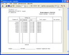Podvojné účetnictví - účetní deník (přímé účtování) - tisk účetního dokladu